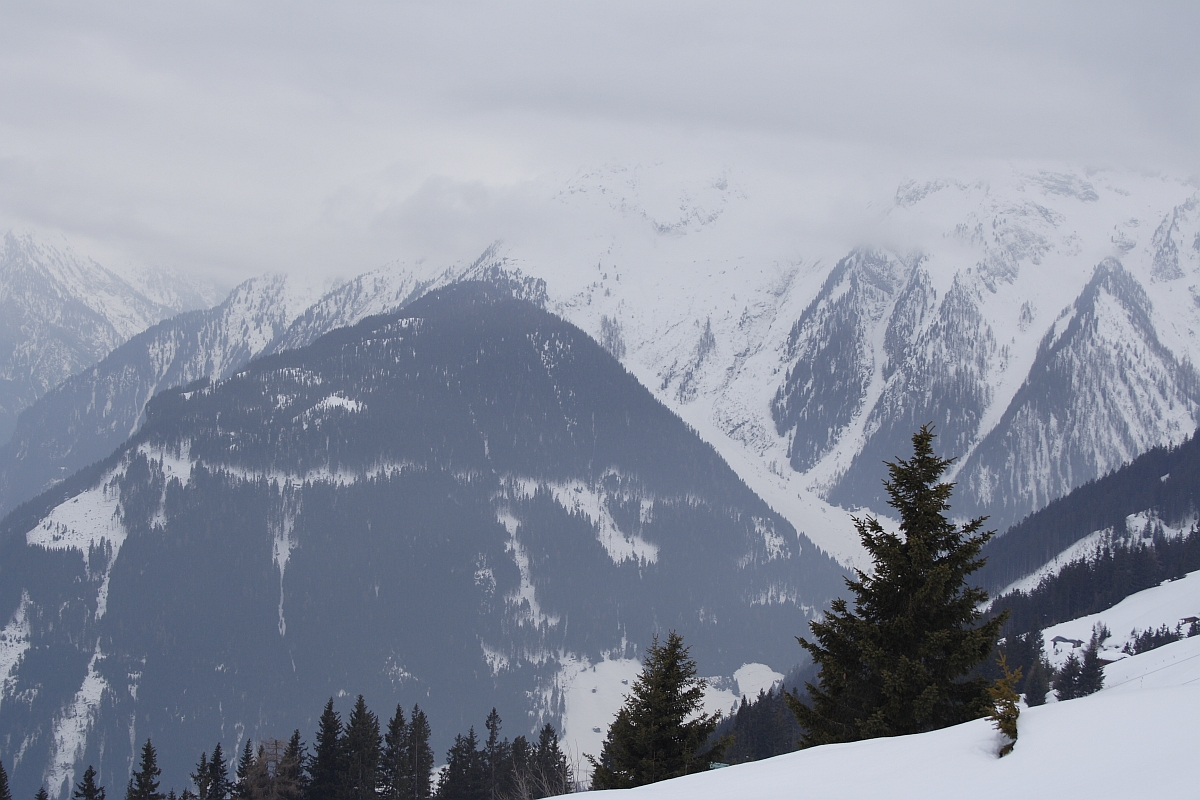 A tranquil winter scene showcasing the snow-covered Austrian Alps under a cloudy sky. The dark, tree-covered slopes contrast with the white snow, creating a picturesque landscape. Evergreen trees dot the foreground, adding depth to the serene and majestic mountain view.