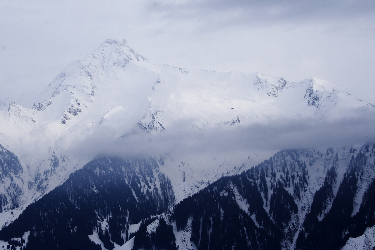 A majestic snow-covered mountain range under a cloudy sky. The towering peaks of the Austrian Alps are partially shrouded by a layer of fog, and the slopes are dotted with dark, dense coniferous forests. The atmosphere is serene and cold, capturing the wintry beauty of Austria's wilderness.