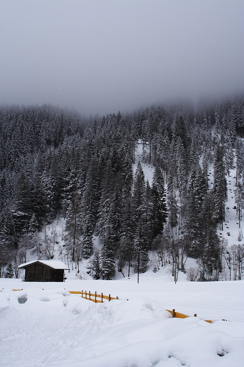 A small wooden cabin stands near a snow-covered hill, surrounded by a dense forest of tall pine trees. The trees are dusted with snow, and the sky is overcast, with low clouds obscuring the tops of the trees. Nestled in the Austrian Alps, a partially buried wooden fence extends across the snowy landscape in the foreground.