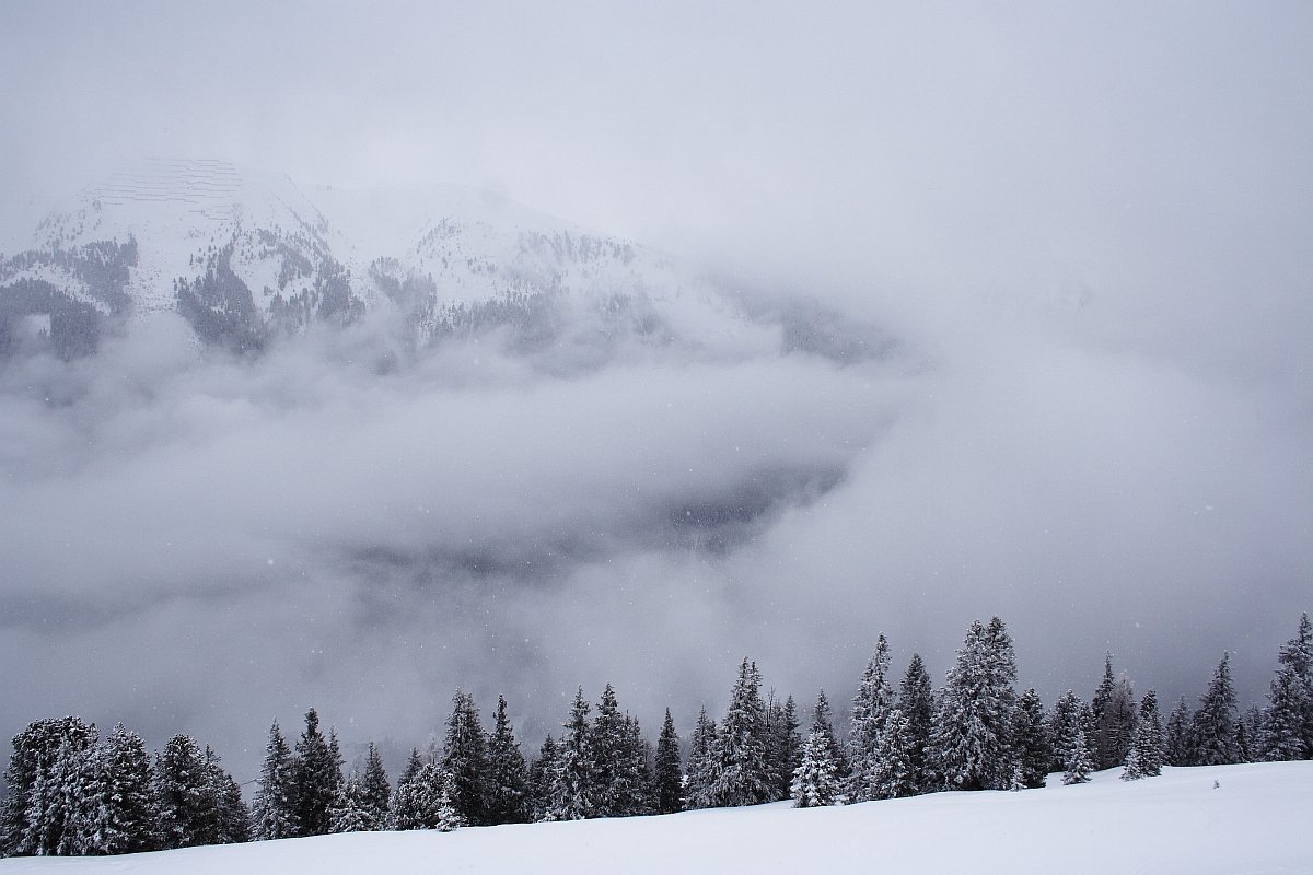 Snow-covered evergreen trees stand in the foreground, with a dense layer of fog obscuring the middle ground. In the background, partially visible through the mist, are the snow-capped peaks of the Austrian Alps, creating a serene and wintry landscape. Flurries of snow are gently falling.