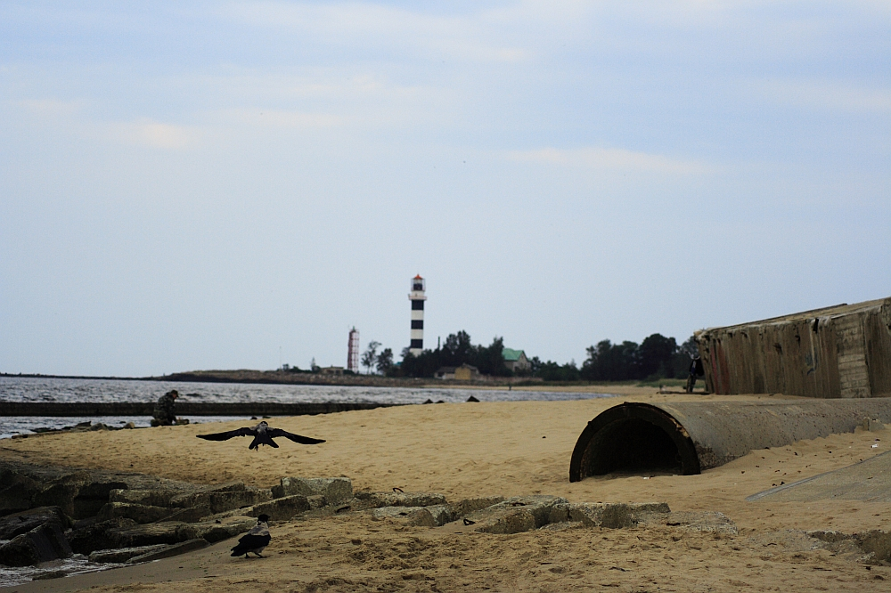 A sandy beach features a large, cylindrical pipe partially buried in the sand. In the background, the black-and-white striped Daugavgrīva lighthouse stands near the shoreline, flanked by a few buildings and trees. The sky is overcast, and a few birds are flying and walking along the beach.