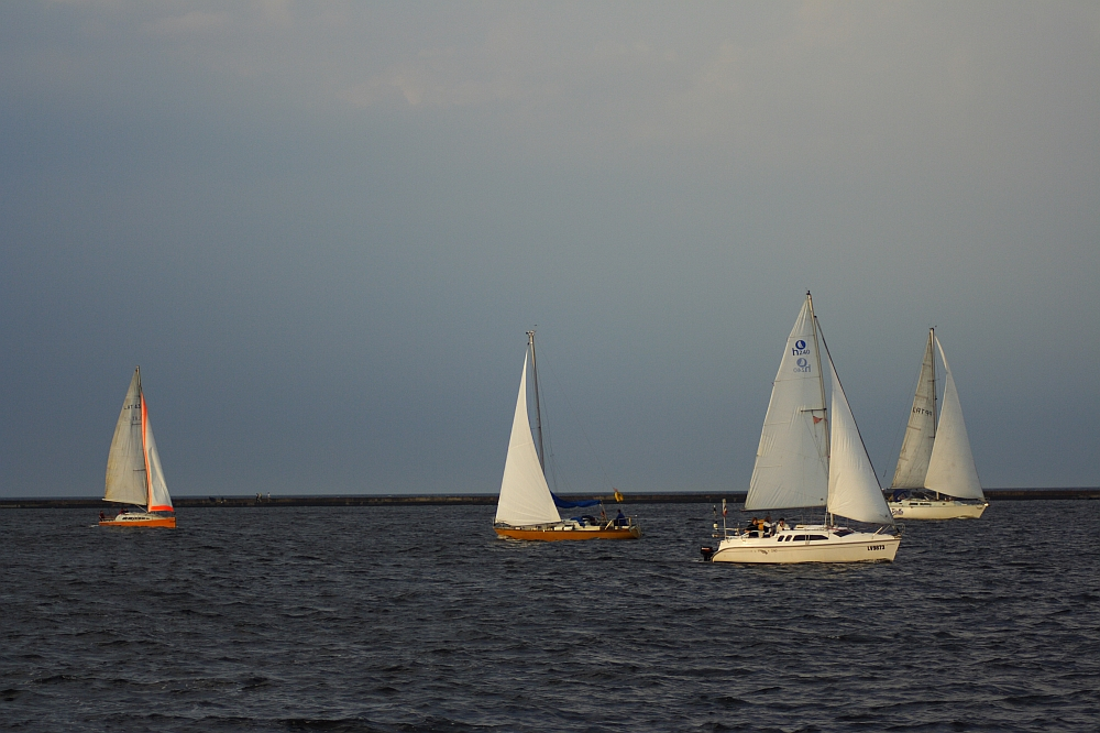 Several sailboats with white sails navigate calm waters under a clouded sky. In the background, the Daugavgrīva lighthouse stands on a long strip of land stretching across the horizon. The boats vary in size, with some close together and others further apart, creating a serene, nautical scene.