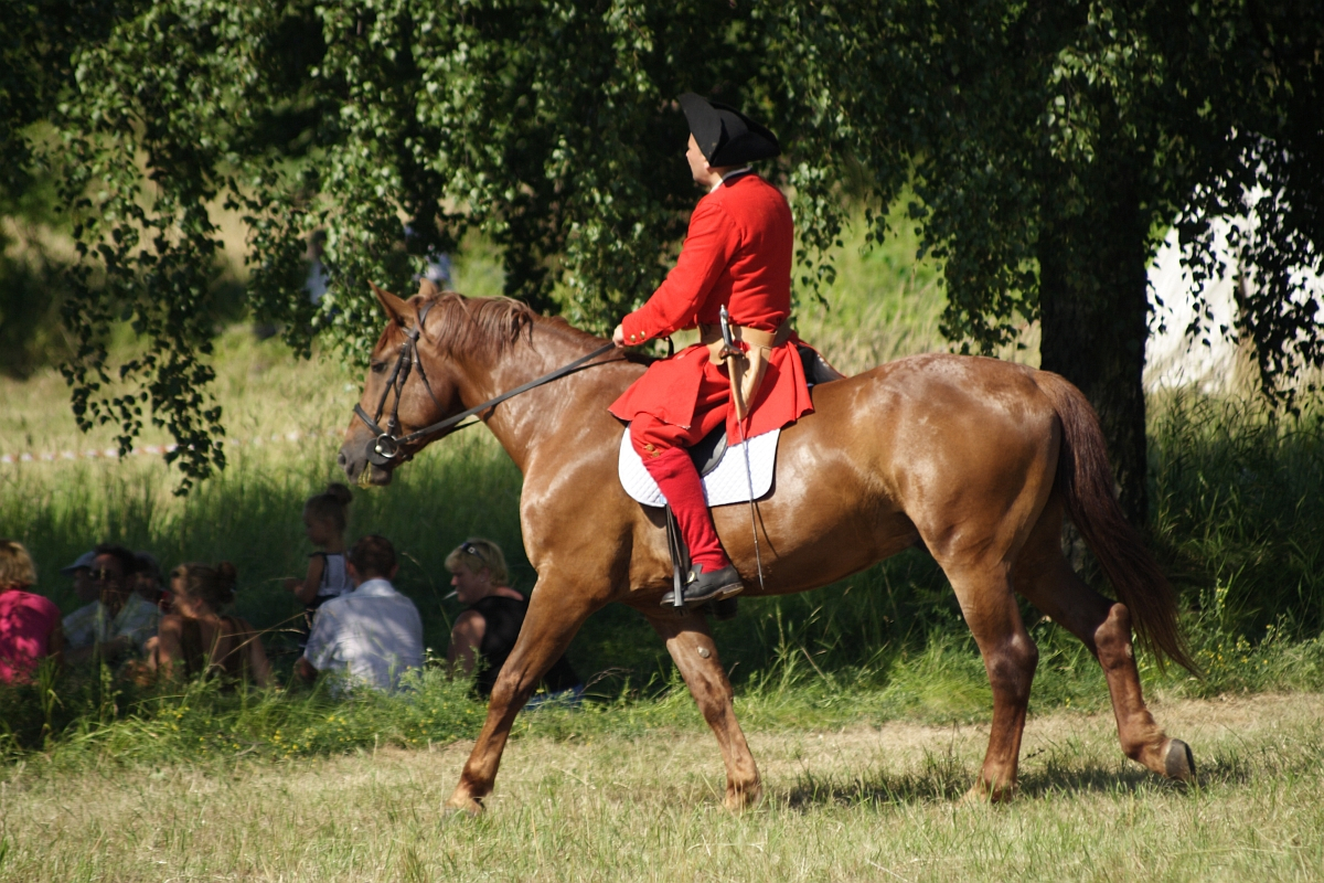 A person dressed in historical red military attire rides a brown horse at a leisurely pace in a grassy area, reminiscent of Dunamunde 2010. The rider wears a black hat and long coat with red pants. Several people sit under a tree in the background, watching the horse and rider pass by.