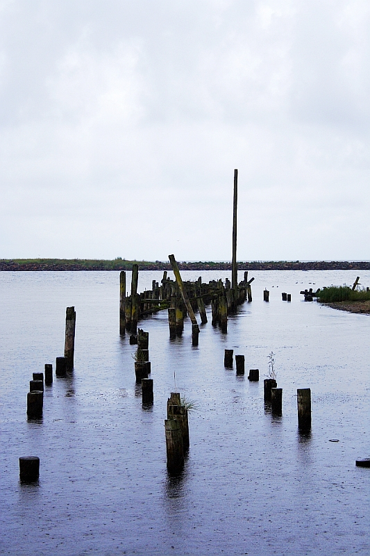 A serene body of water in Engure is punctuated by weathered wooden posts, remnants of an old pier, jutting out from the surface. The cloudy sky hints at an overcast day. The shoreline is faintly visible in the distance, adding depth to the tranquil yet slightly melancholic scene.