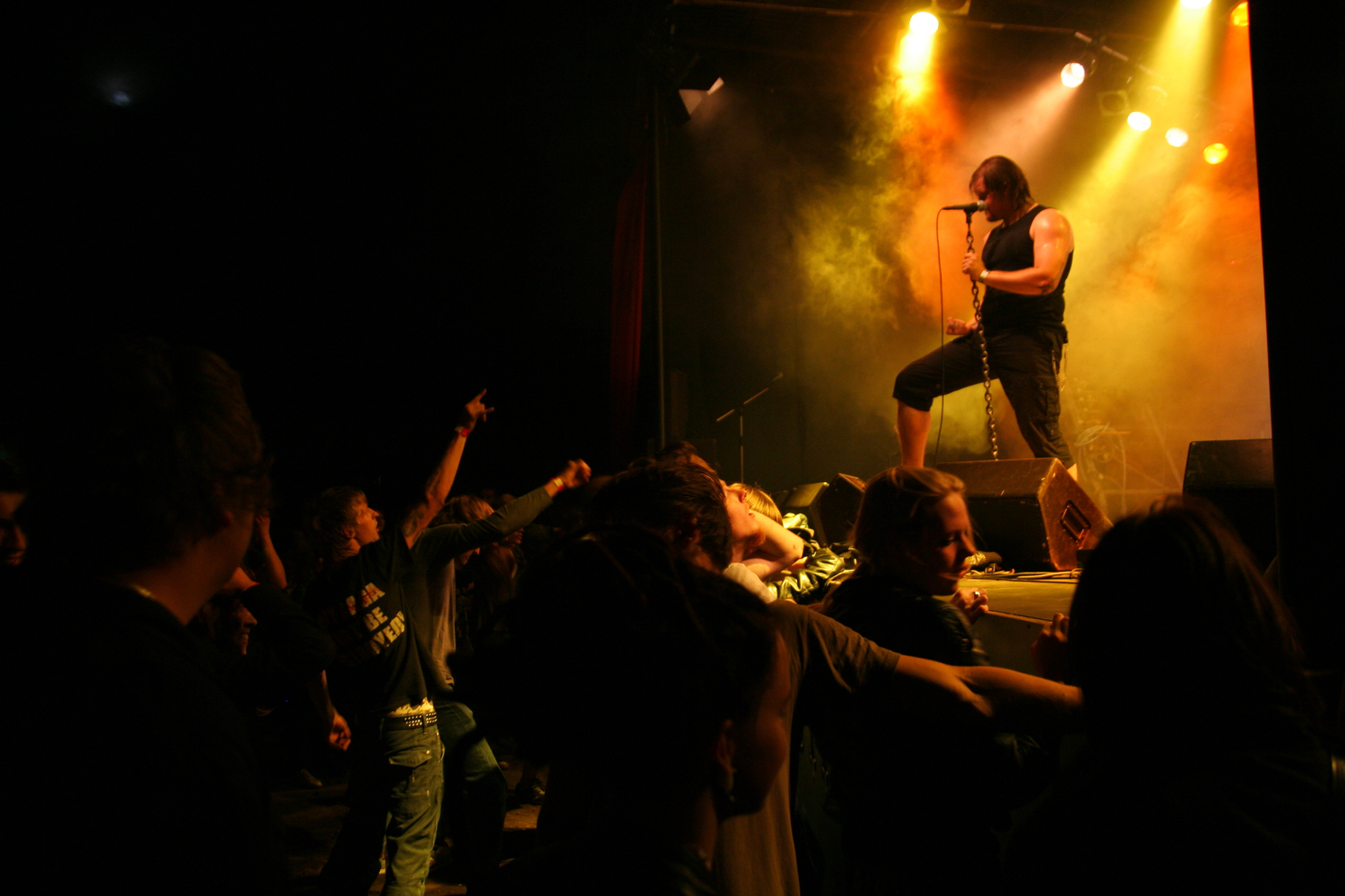At the 2011 Fontaine festival, a vocalist wearing a sleeveless shirt performs passionately on stage, gripping a stand microphone. The stage is bathed in warm yellow and orange lighting, with smoke effects adding drama. A lively crowd with raised arms is visible in the foreground, engaging energetically with the performance.