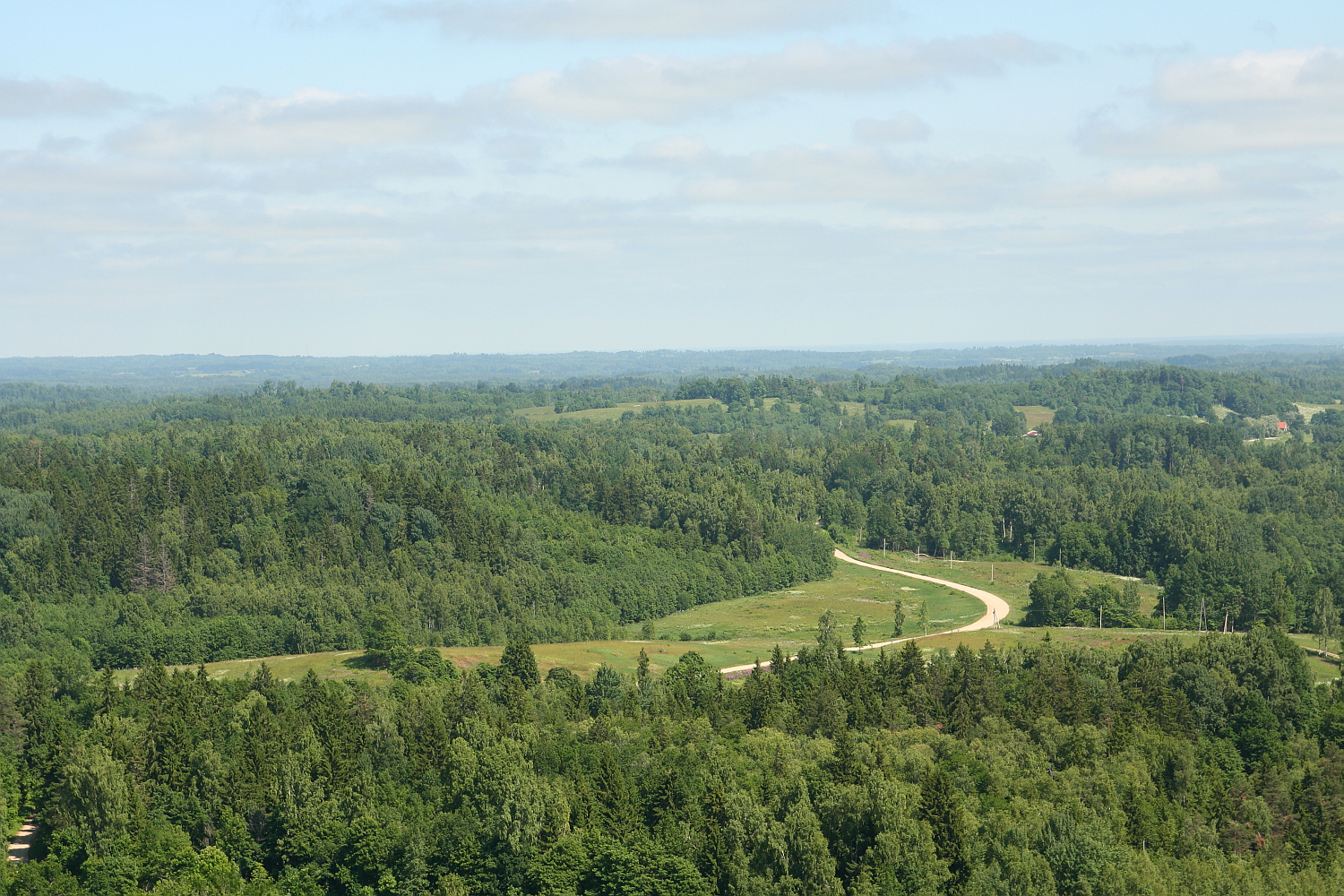 Aerial view of a verdant landscape near Gaiziņš with a winding road cutting through dense forests under a clear blue sky.