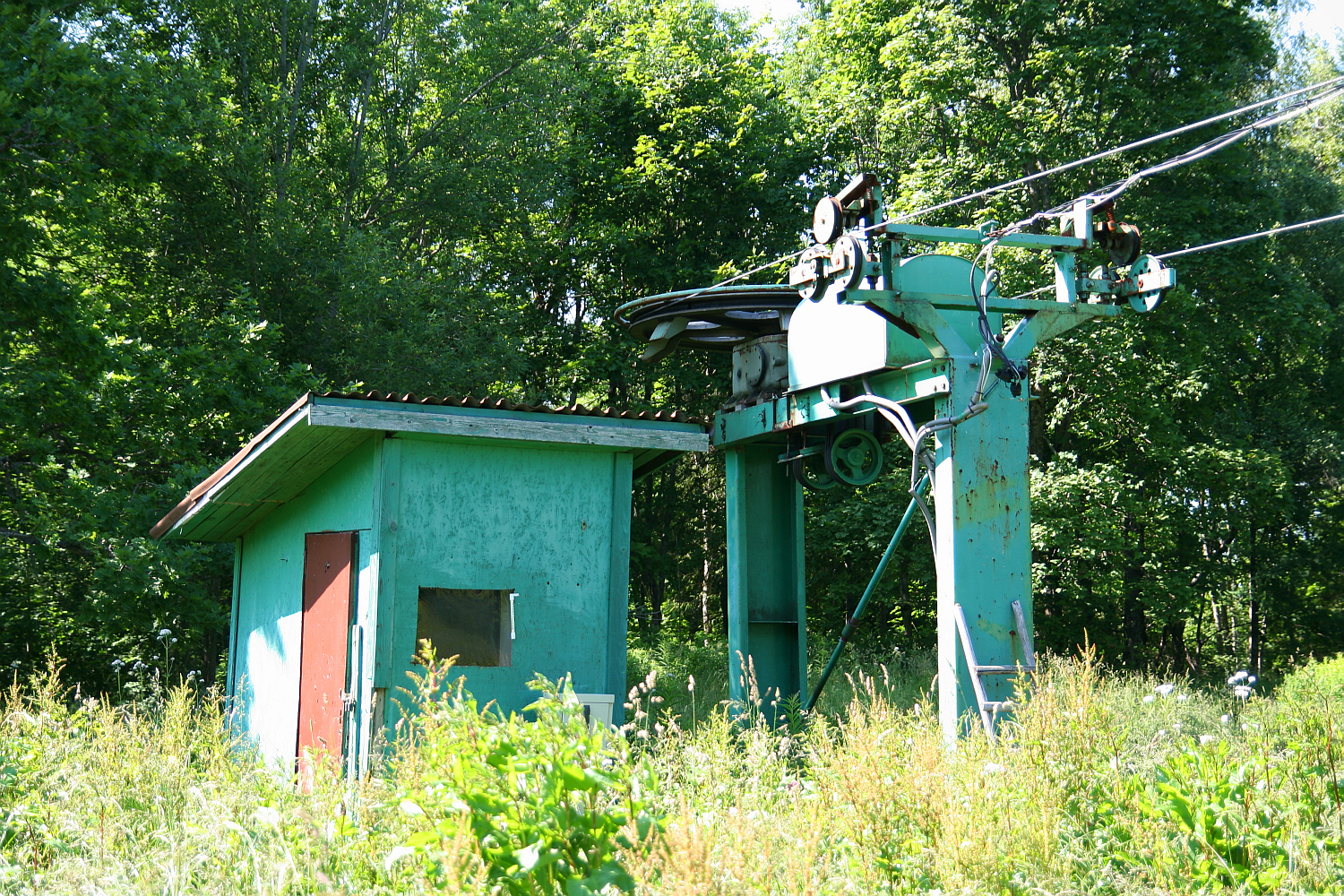 An old ski lift station, overgrown with lush greenery, stands abandoned amidst nature near Gaiziņš, its mechanism dormant and encroaching foliage signalling disuse.