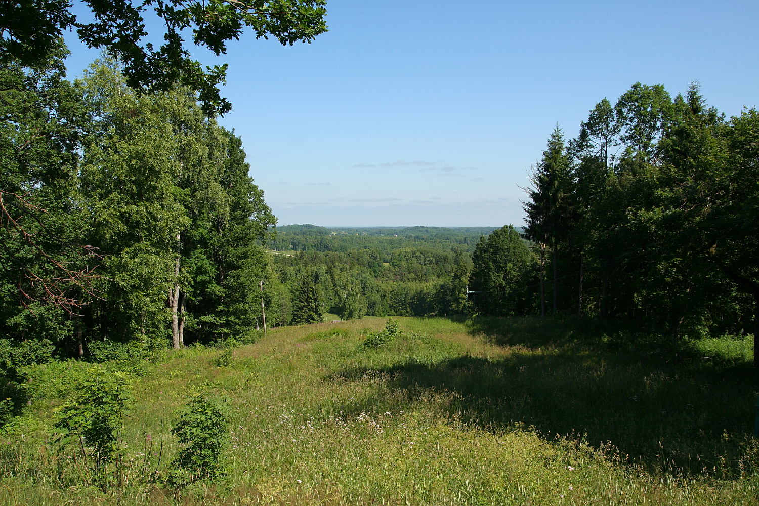 A tranquil forest clearing leads to a vista of rolling hills under a clear blue sky, evoking the peace and vastness of nature near Gaiziņš.