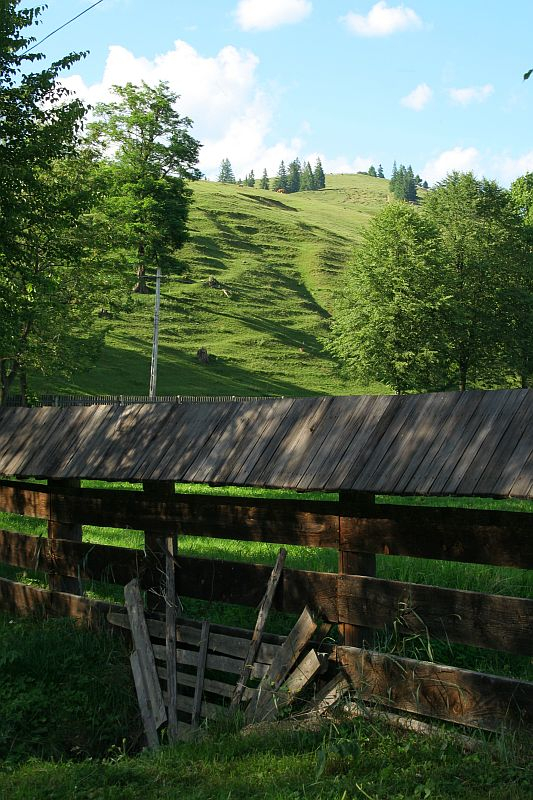 Rustic wooden fence with a broken gate, overlooking a lush, green hillside sprinkled with trees under a clear blue sky in Romania, suggesting the serene simplicity of rural life.