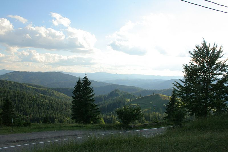 A serene landscape in Romania showcasing rolling hills covered in verdant forests under a vast sky with gentle clouds, as observed from a roadside vantage point with silhouettes of trees in the foreground.