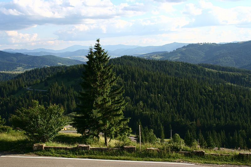 A scenic mountain view in Romania with a verdant landscape, showcasing lush evergreen forests under a partly cloudy sky, as observed from a roadside with log barriers.