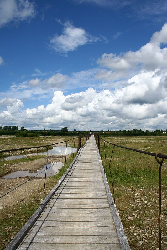 A wooden boardwalk stretches into the distance in Romania, flanked by water and grasslands under a vast sky dotted with cumulus clouds.
