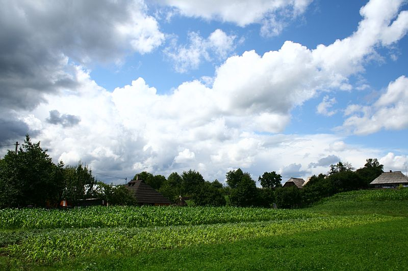 A serene rural landscape in Romania showcasing lush green fields under a dynamic sky dotted with fluffy, white cumulus clouds, with traditional houses peeking through the treeline.