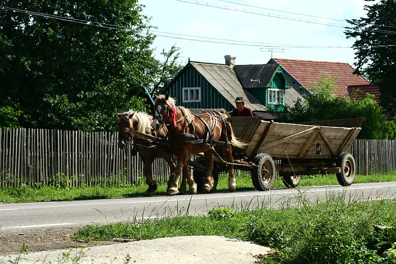 A horse-drawn wagon, loaded and pulled by a team of two horses, travels along a rural road in Romania, past wooden fences and modest homes under a sunny sky.