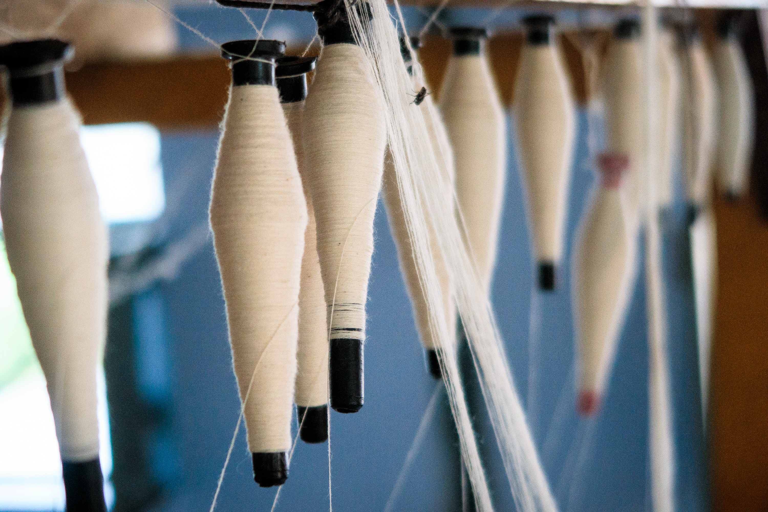 Close-up of thread spools hanging vertically on a loom in a textile factory in India. The spools, wrapped with white thread, are suspended by the thread running through the mechanism. The scene is focused on the intricate setup, highlighting the craftsmanship involved in weaving textiles. Background is blurred.