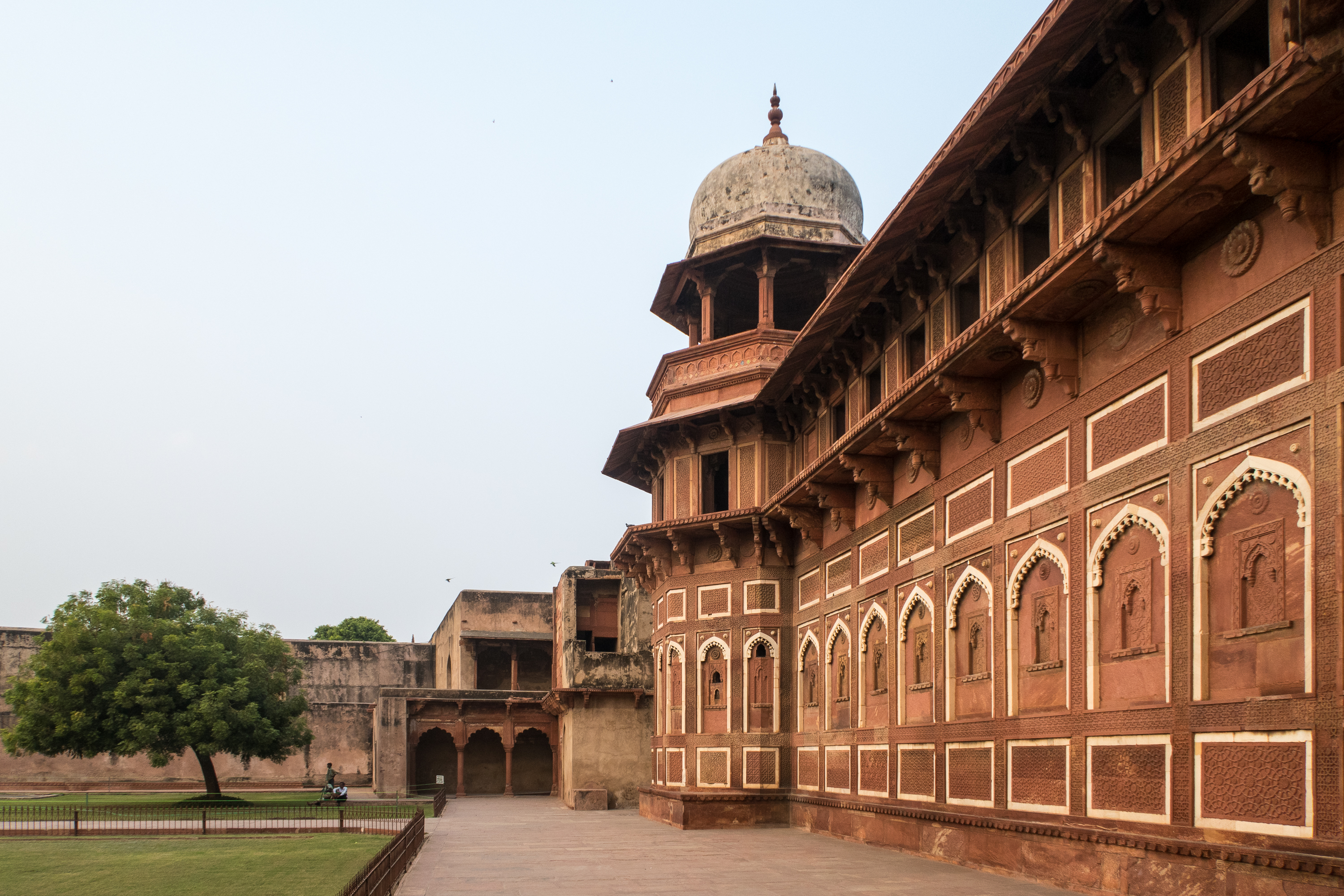 The image shows a section of Agra Fort in India. The structure features ornate red sandstone walls with arched windows and intricate carvings. A large dome is visible atop the building. In the foreground, there is a well-maintained lawn with a single tree to the left under the clear Indian sky.