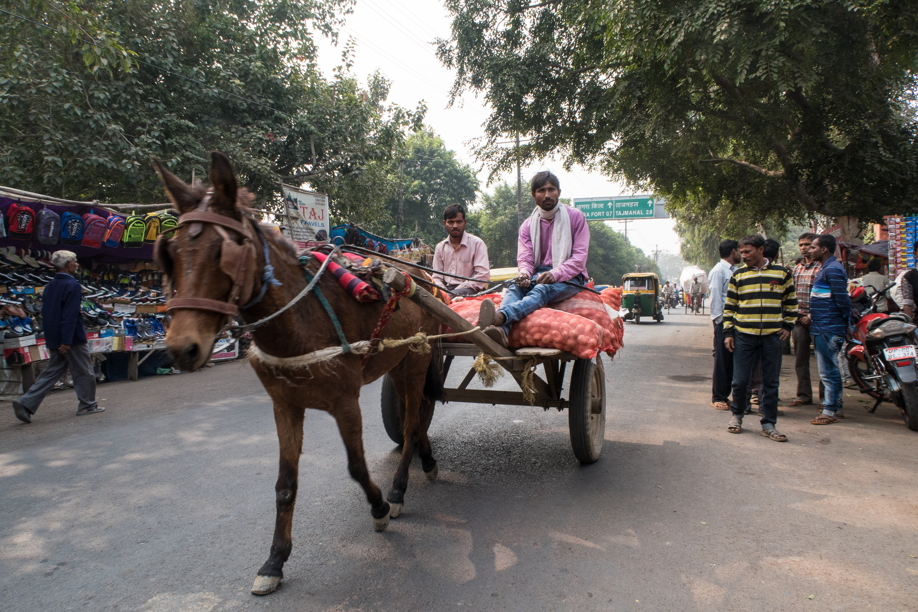 A man in a purple shirt and another in a pink shirt ride a horse-drawn cart loaded with goods, including bags of red produce, on a busy street in India with outdoor shops displaying shoes and jackets. Pedestrians and other vehicles can be seen in the background under a green signage indicating directions.