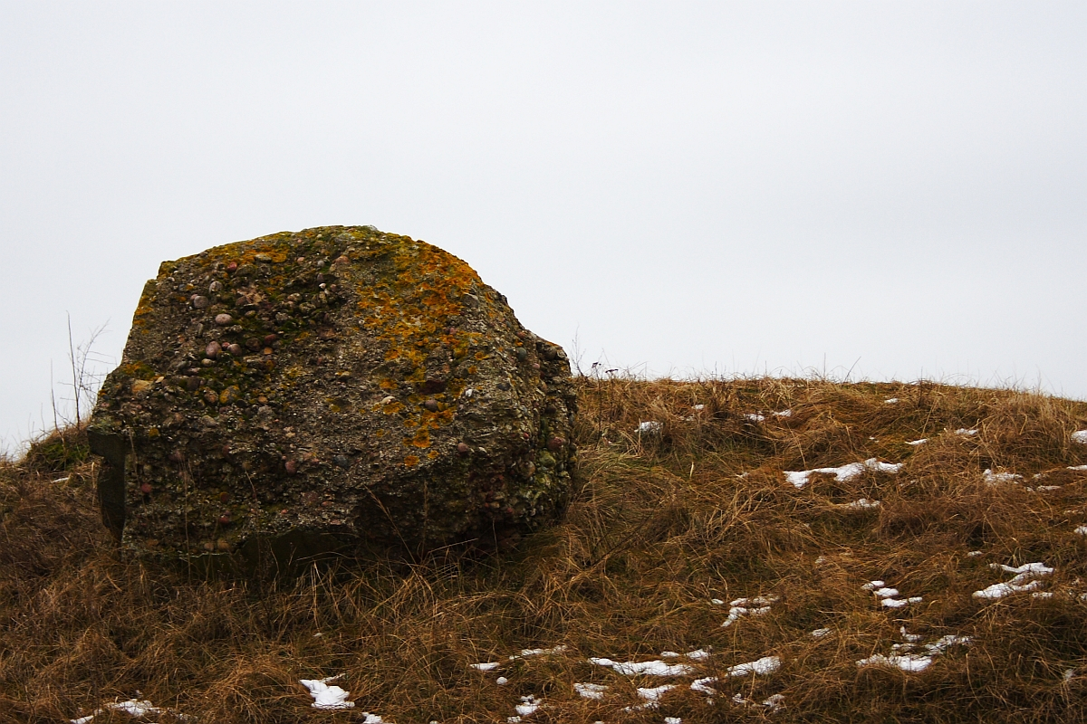 A moss-covered rock stands prominently in a Karosta winter landscape, with patches of snow scattered around the sparse, dry grass under a gloomy, overcast sky.