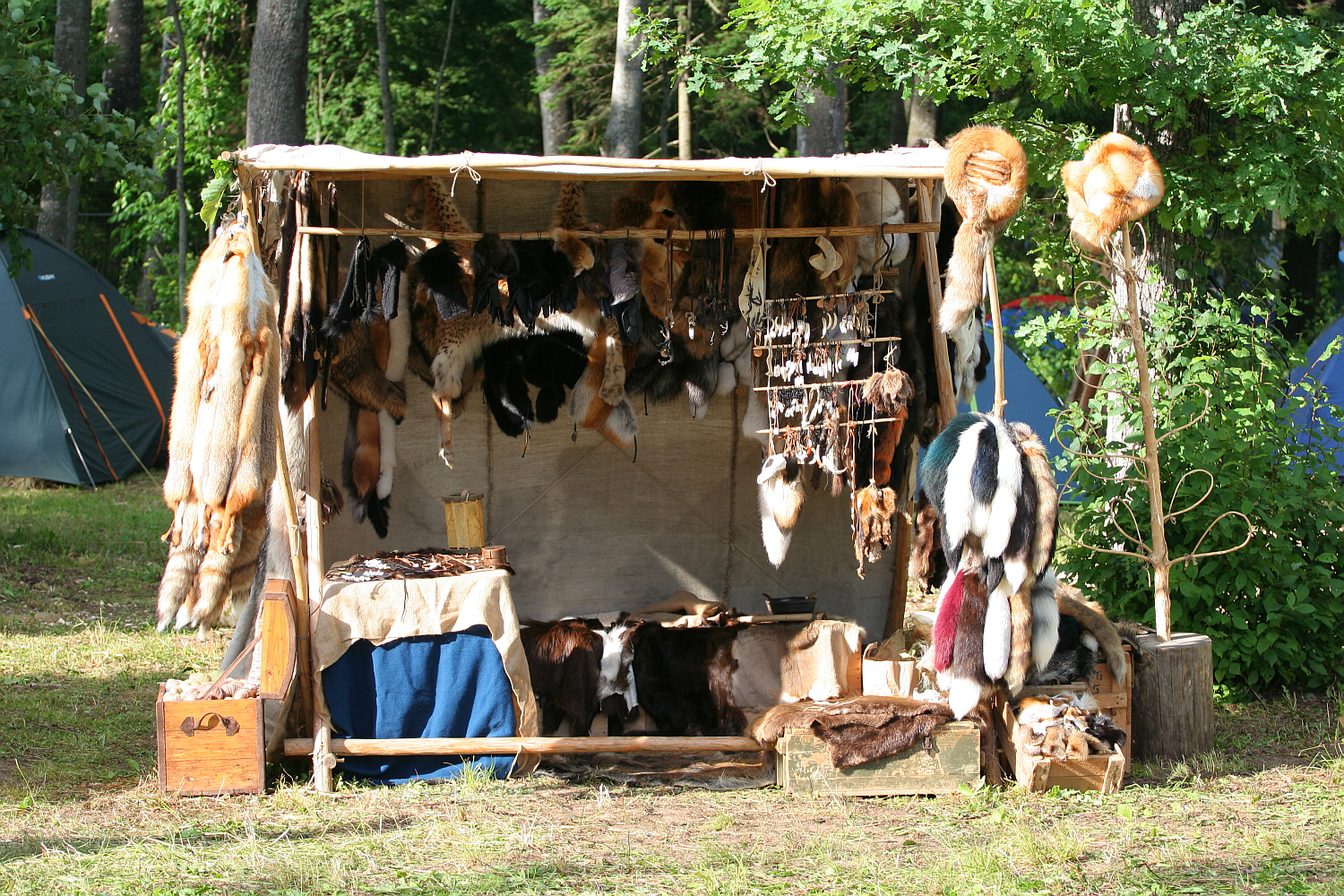 A market stall with a wooden frame and canvas roof displays various fur pelts, hides, and leather goods. The items, in different sizes and colors, hang from the frame and are spread on tables and boxes below. Set in a wooded area with green trees and shrubs in the background, it feels like a scene from Kilkim Žaibu 2011.