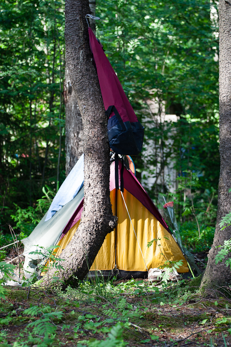 A colorful tent, mostly yellow with red and black sections, is pitched in a dense forest during the Kilkim Žaibu 2012 festival. The tent is anchored between two trees, with one tree prominently in the foreground. Green foliage surrounds the area, and bright sunlight filters through the leaves.