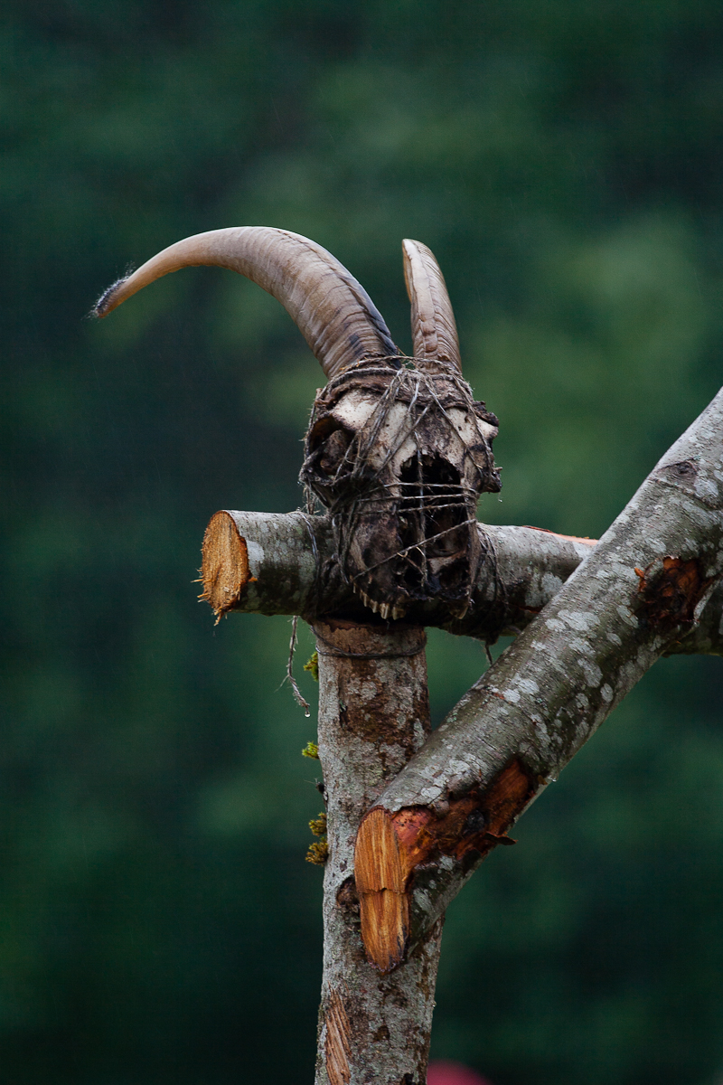 A goat skull with long, curved horns is placed atop a wooden stake. The skull is bound with twine, giving it a rustic and eerie appearance. The background is out of focus, featuring greenery that suggests a forest or wooded area. This scene evokes memories of the 2012 Kilkim Žaibu festival, adding to its mysterious and ominous feel.