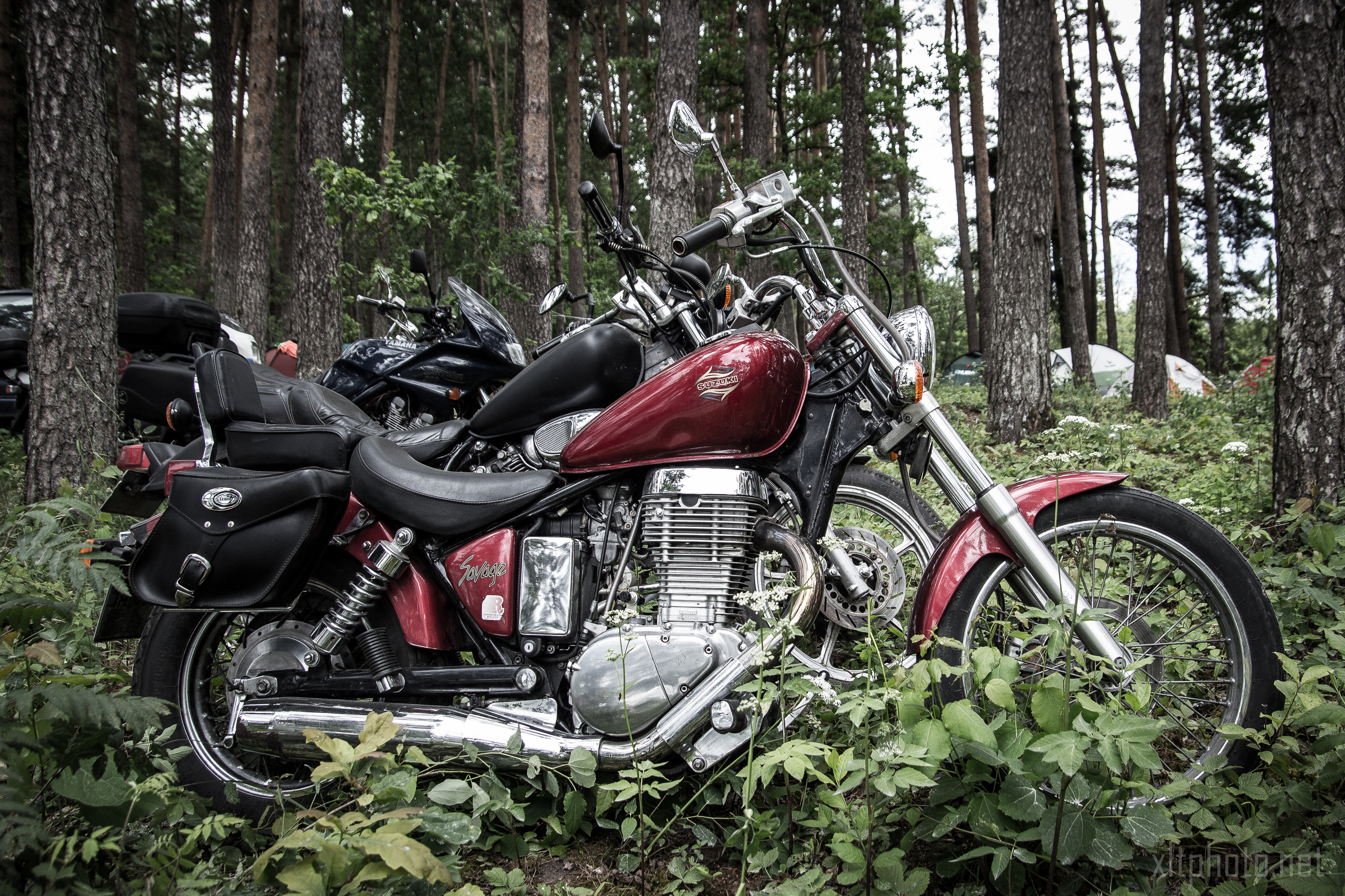 A red and chrome cruiser motorcycle is parked among green foliage and trees in a forested area during the 2015 Kilkim Žaibu event. Saddle bags are attached to the rear sides. In the background, other motorcycles and camping tents are visible, suggesting a lively gathering or camping event among tall trees.