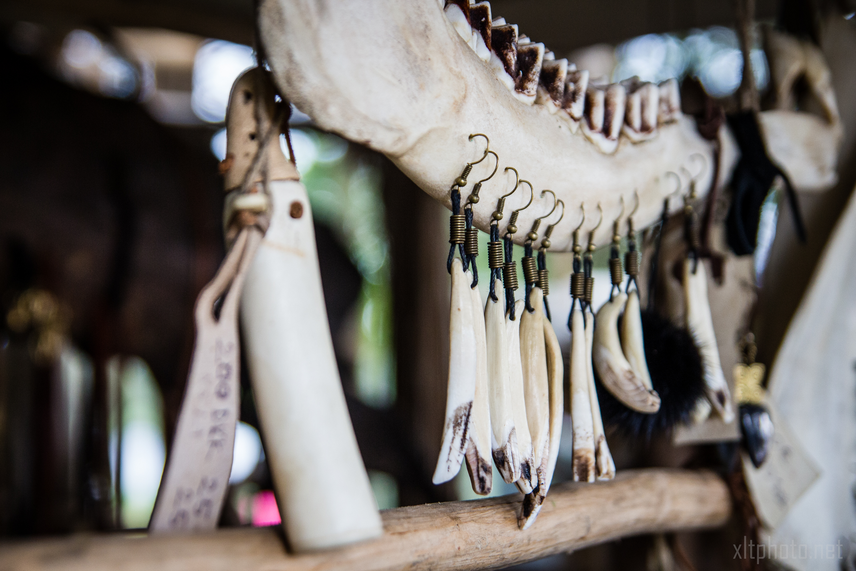 Close-up of a display of traditional bone and teeth jewelry at the 2015 Kilkim Žaibu festival. The central focus is on a jawbone from which various small, curved teeth hang, each attached with metal hooks. Additional bone ornaments are seen on the left, all arranged on wooden rods in a rustic setting.