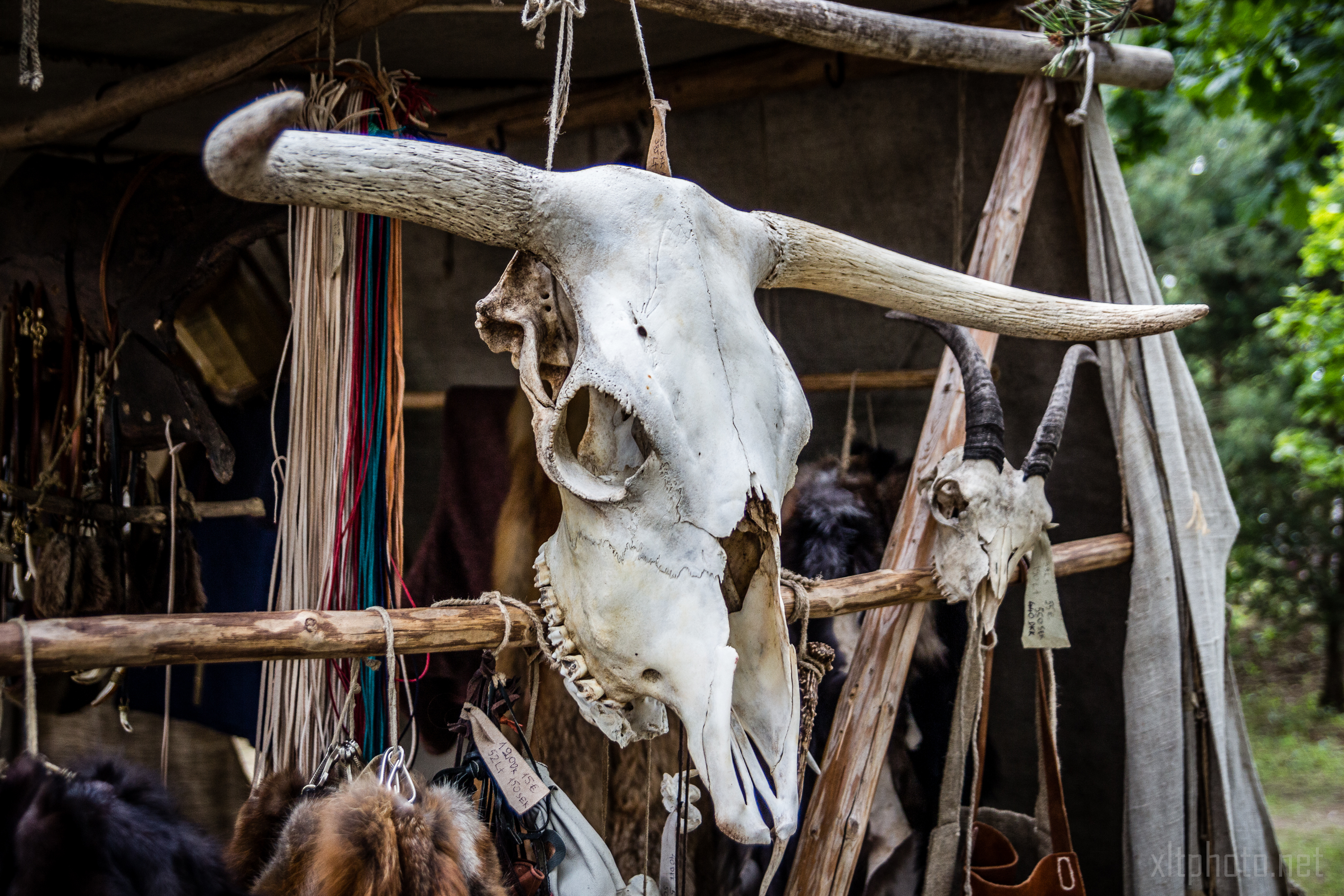 A large white cow skull with long, curved horns is prominently displayed, hanging from a rope in an outdoor market. Various animal pelts and leather goods are visible in the background, suggesting a rustic and traditional setting reminiscent of Kilkim Žaibu 2015. The scene is framed by wooden beams and greenery.
