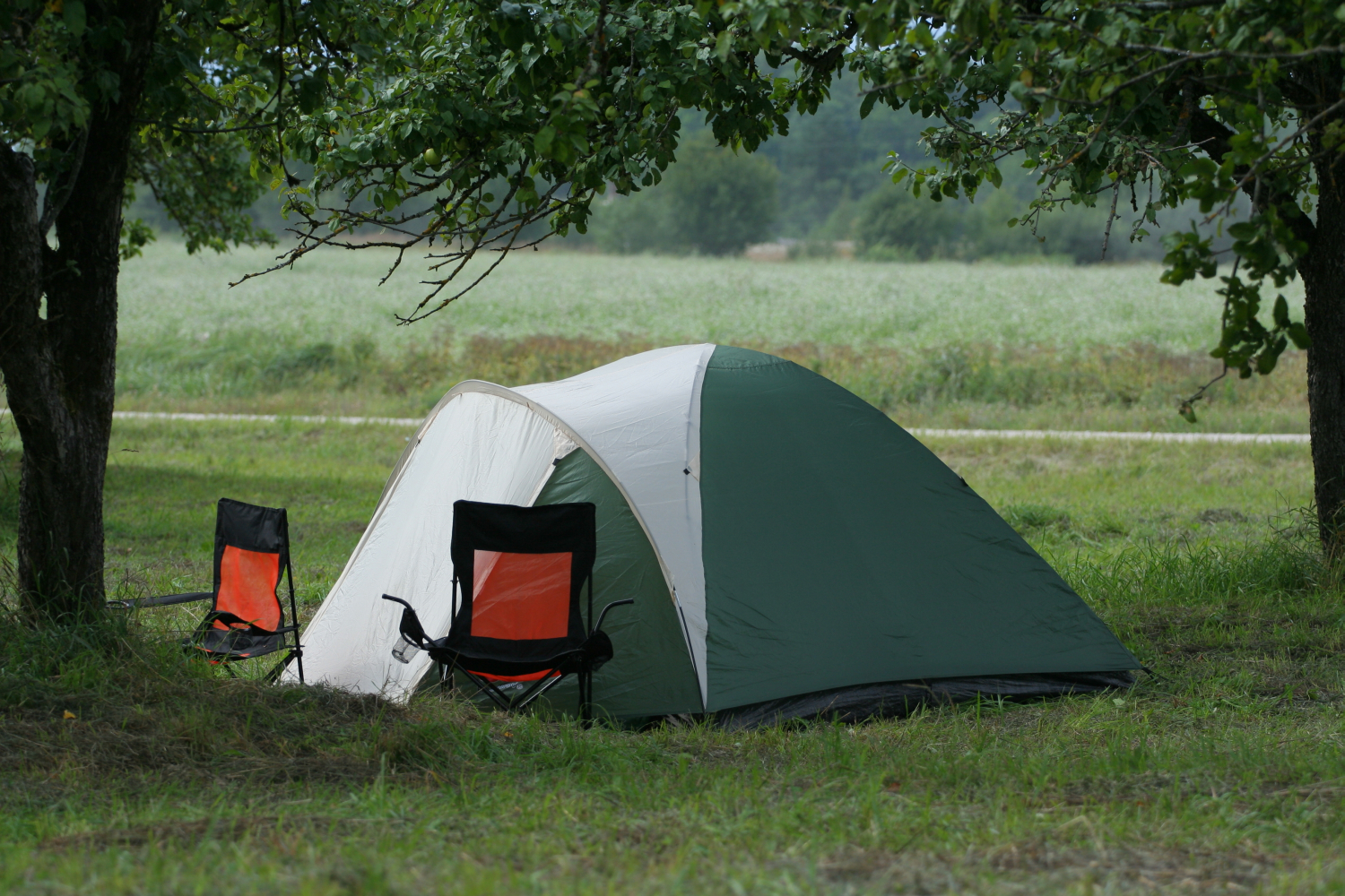 A green and white tent is set up in a grassy area between two trees, with a field in the background. Two camping chairs with orange backs are positioned in front of the tent, facing each other. The serene outdoor camping setup on this cloudy day evokes memories of Laba Daba 2011.