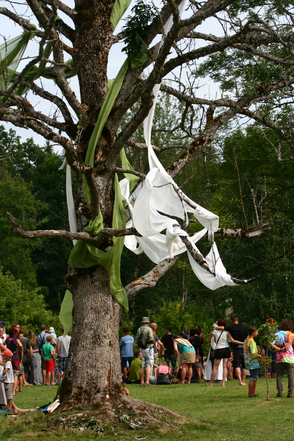 A group of people stand gathered near a large tree, decorated with pieces of green and white fabric draped and wrapped around its branches. The scene appears to be set in a lush, green outdoor area with trees and foliage in the background. Numerous people, including children, are present, evoking the spirit of Laba daba 2011.