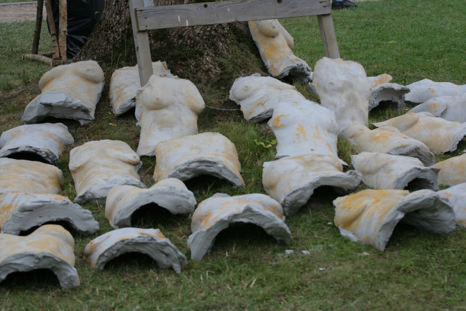 Numerous plaster casts resembling human torsos are arranged on the grass near the base of a tree. Some are propped up against the trunk. The casts, part of an art project titled "Laba Daba 2011," vary in detail and finish, creating a compelling visual narrative.
