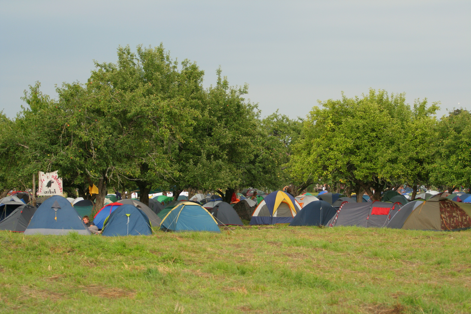 A large group of tents is set up in a grassy field with several trees scattered throughout. The colorful tents, reminiscent of the 2011 Laba Daba festival, include blue, green, and yellow. People are seen near the tents, and a handmade sign is visible among the trees. The sky above is slightly overcast.