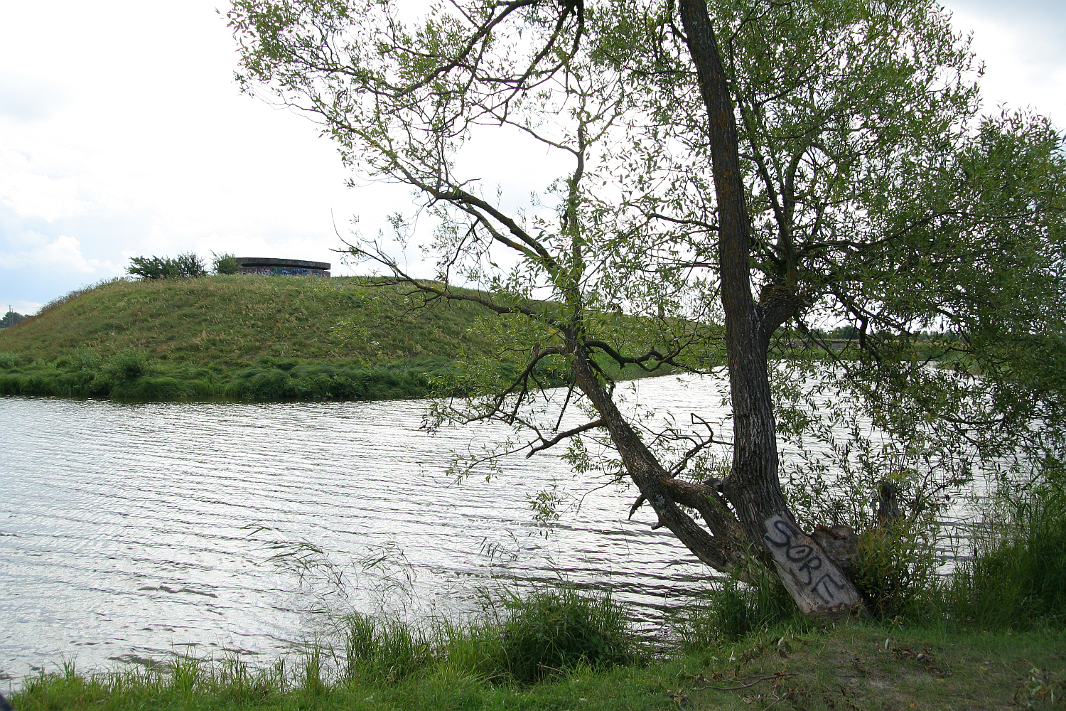 A serene lakeside view in Liepāja with a lush green tree leaning slightly over the water, graffiti on a rock at the shore, and a grassy hill in the background under a cloudy