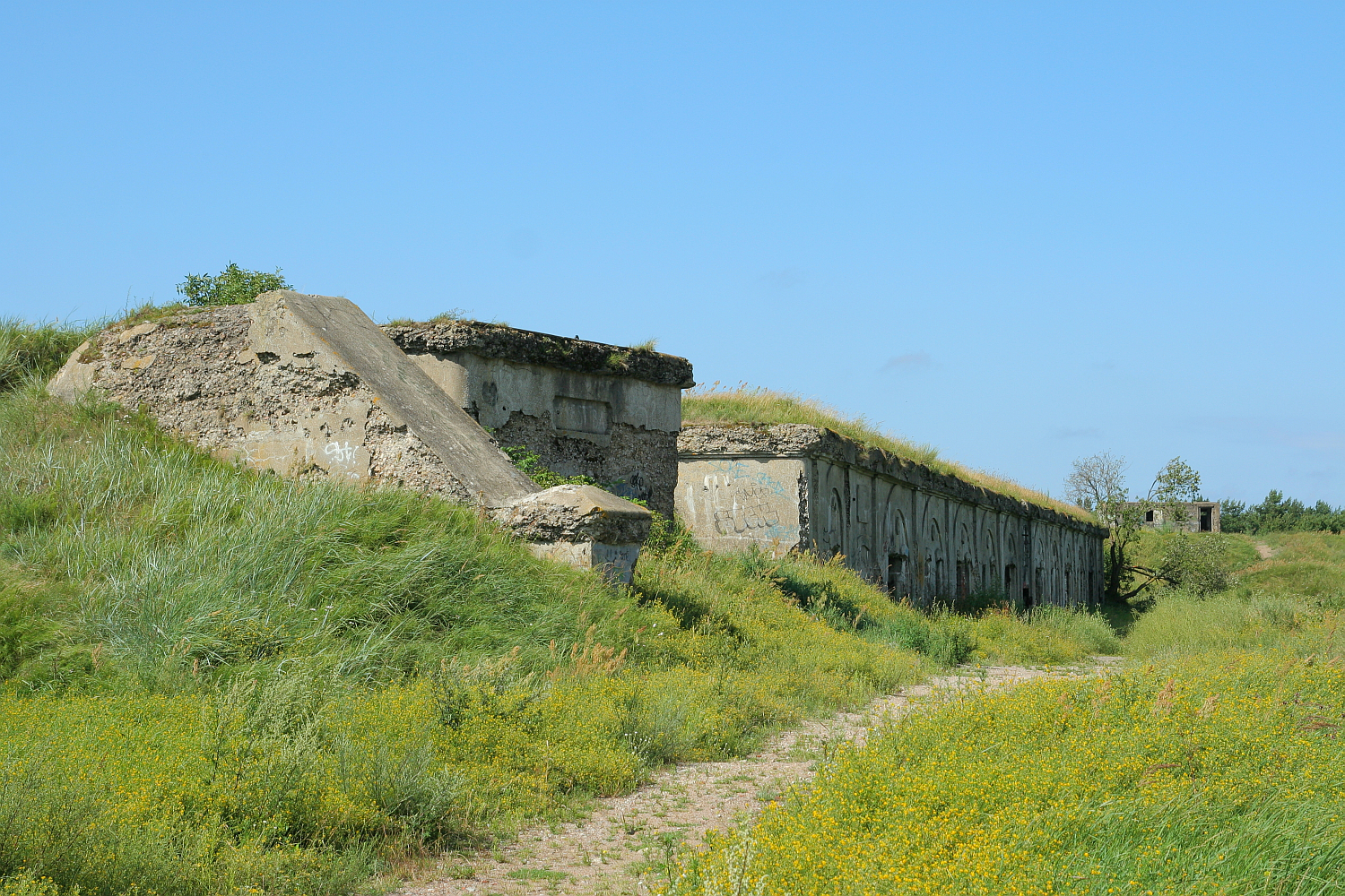 An overgrown path leads to a dilapidated concrete bunker in Liepāja, remnants of past military defenses, set against a clear blue sky with wildflowers dotting the foreground in a peaceful