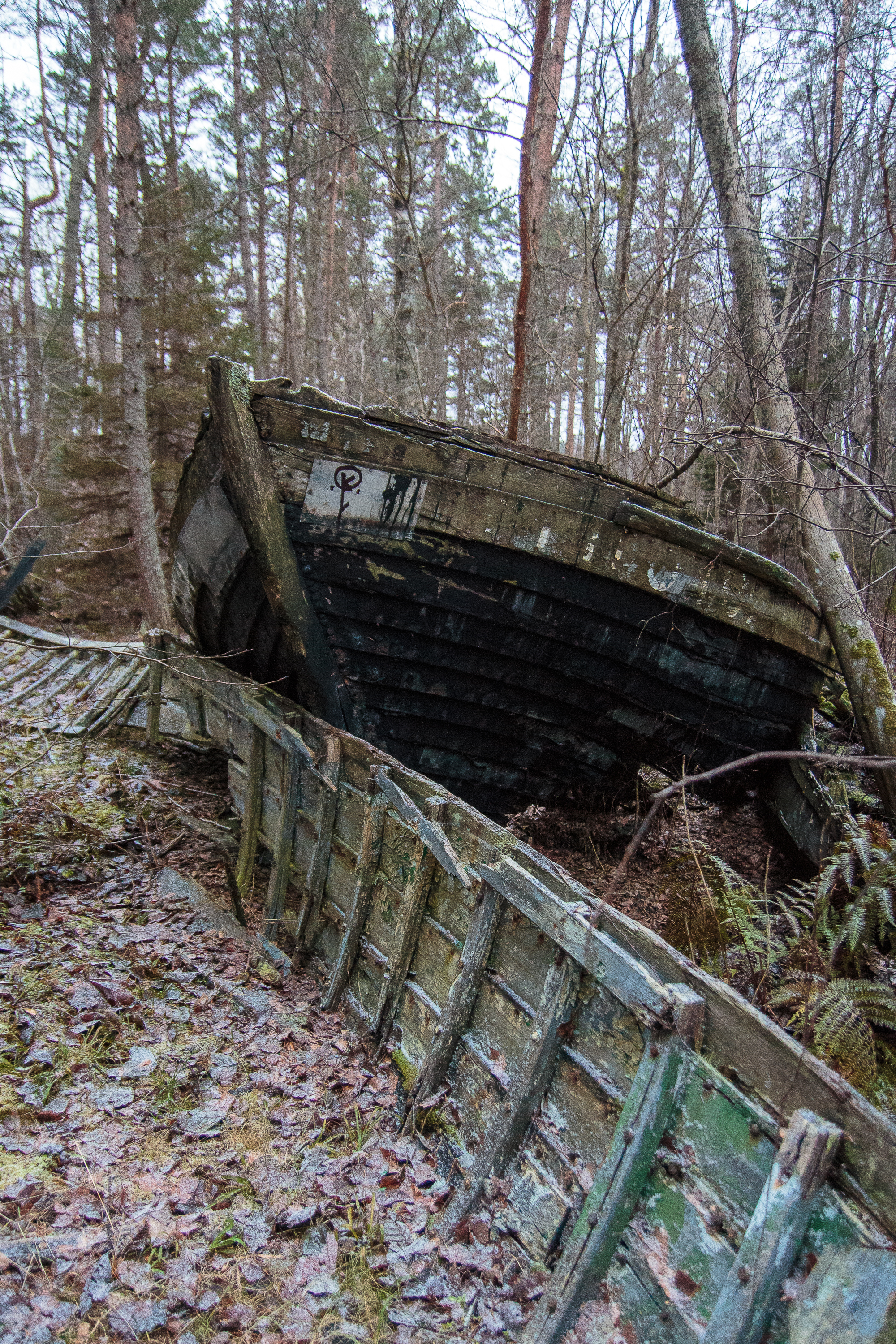 An old, abandoned wooden boat lies tilted on its side in a forest near Mazirbe. The boat is weathered, with peeling paint, surrounded by leafless trees and ferns. The ground is covered in fallen leaves and patches of moss, crafting a rustic, natural scene.