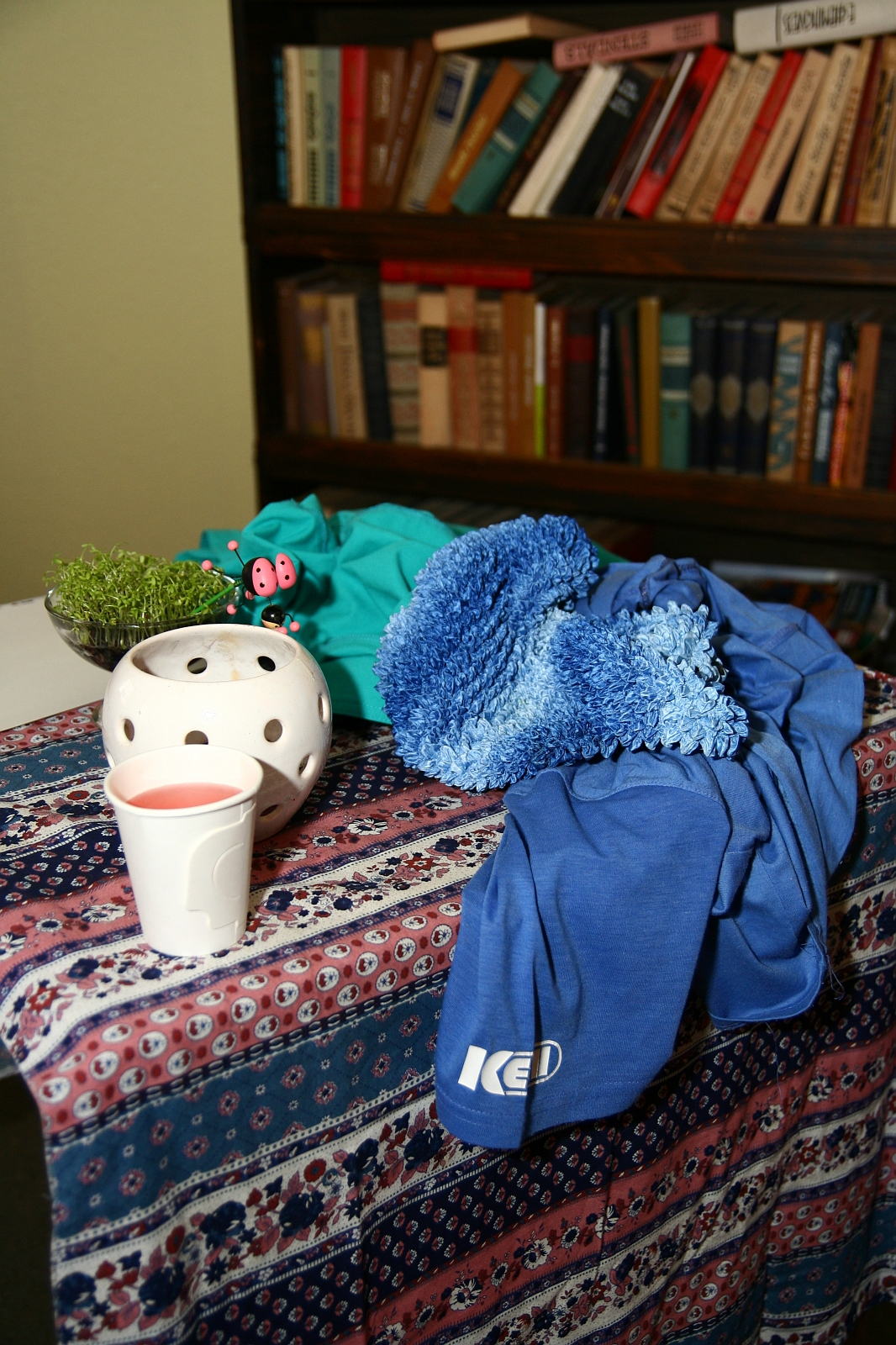 A wooden table covered by a patterned cloth holds various items: a white ceramic planter with a succulent and red ladybug decoration, a green shirt, and a blue-furry blanket. A nearby white cup contains a pink beverage. Behind, Modes Talka's books fill the wooden bookshelf in the background.