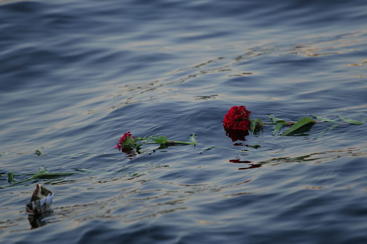 Two red carnations with green stems and leaves float on the surface of rippling, blue-gray water. The flowers slightly bend and partially submerge as they drift. The muted reflection of the flowers adds a poignant contrast to the serene water, reminiscent of an Oligarhu kapusvētki tribute.