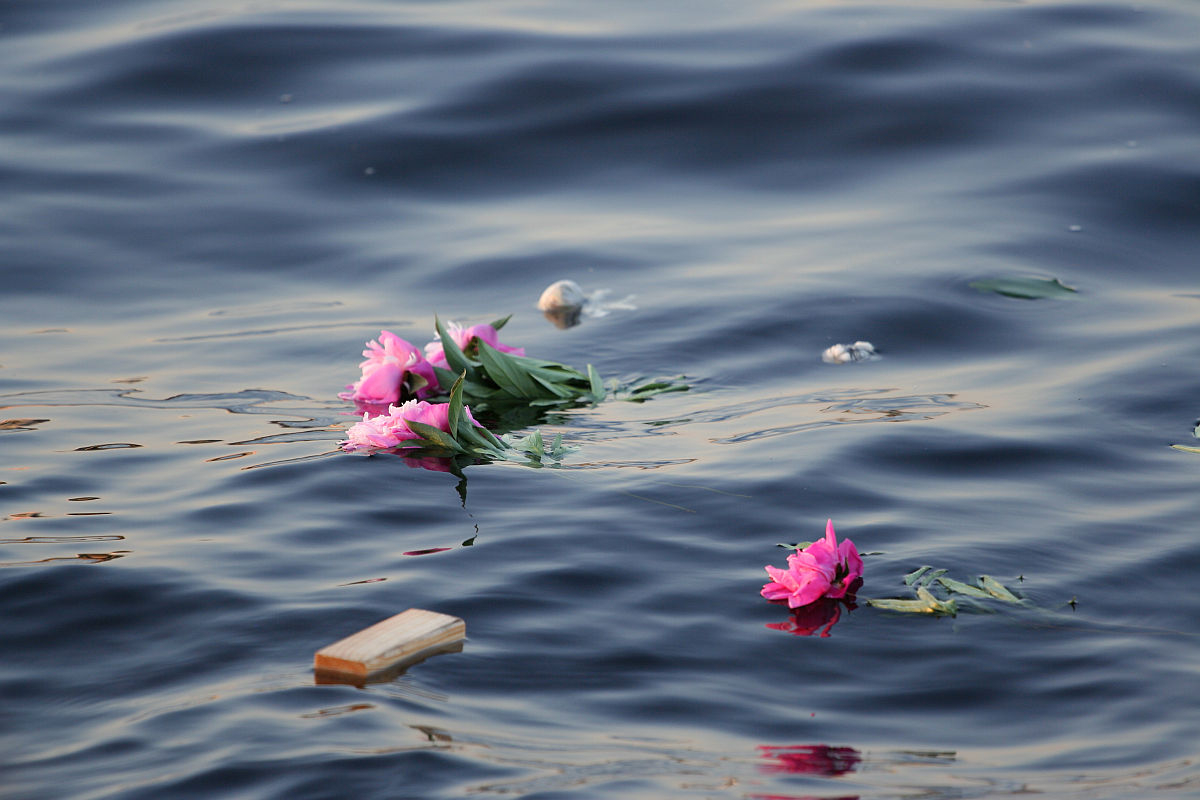 Pink flowers and scattered green leaves floating on a body of calm, rippling water. In the bottom left corner, a small, rectangular wooden piece is also floating. The scene is serene and reminiscent of kapusvētki, with the water reflecting soft light, creating a peaceful, melancholic atmosphere.
