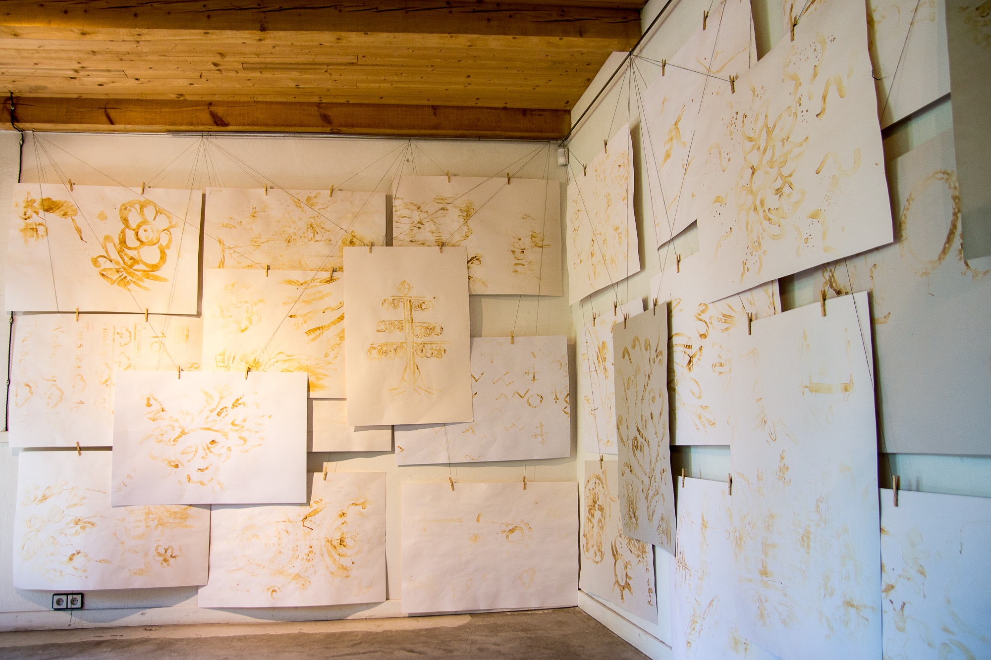 A room with a wooden ceiling and stone flooring features numerous large sheets of paper with botanical drawings, hung densely on two walls. The papers, reminiscent of a Papīra objektu festivāls, are attached with small clips to strings running horizontally across the walls, creating a layered, artistic display.