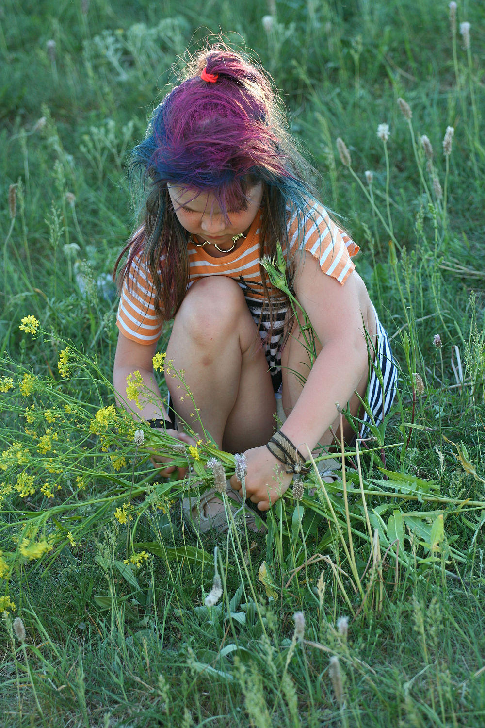 A child with brightly colored punk hair, tied with a red hair tie, is sitting in a grassy field. They are wearing a striped orange and white shirt and striped shorts. The child is picking yellow wildflowers, bending low with one knee up, concentrating on gathering the plants, as if preparing for Laulupidu.