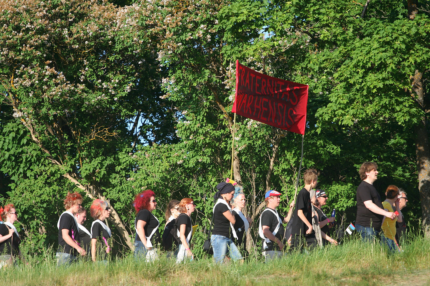 A group of people march outdoors on a grassy terrain, reminiscent of the spirit at Laulupidu. They are holding a red banner with the words "In ternat's krisehnsis" written in black. Dressed casually in primarily black t-shirts and jeans, they walk among green trees with white blossoms, suggesting a spring or summer setting.