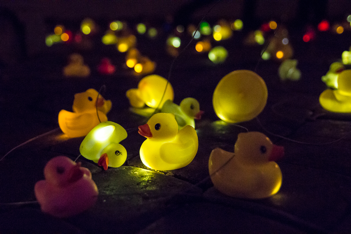 Several yellow rubber ducks, some with glowing lights inside, are scattered on a dark surface. The ducks are illuminated, creating a warm and whimsical atmosphere reminiscent of Rīga Staro 2012. In the foreground, a pink rubber duck is also visible as the background fades into darkness with more glowing ducks scattered around.