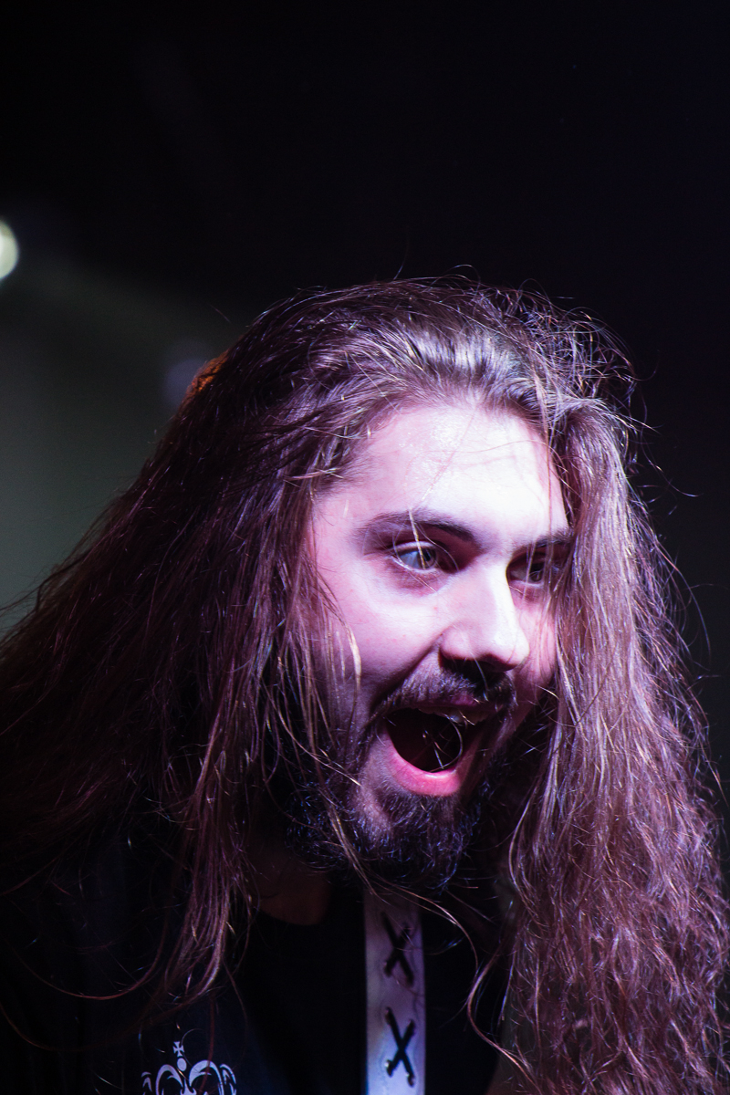 A bearded person with long brown hair is enthusiastically performing on stage, with a guitar strap visible over their right shoulder. The dim purple lighting highlights their animated expression, with mouth open and eyes wide, conveying a sense of excitement or passion characteristic of a heavy metal band like Sabaton.