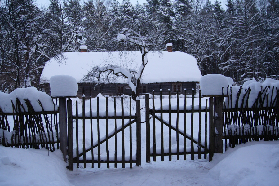 A rustic wooden fence gate stands open, leading to a snow-covered yard with a thatched-roof cottage in the background. The roof and surroundings are heavily blanketed in snow, including the tree branches and shrubs. Tall pine trees in the background add depth to the winter solstice scene.