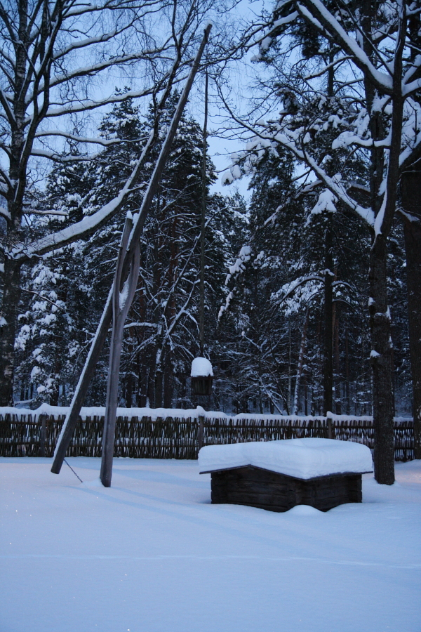 A snow-covered scene featuring a traditional wooden well with a long pole for drawing water, situated in a fenced woodland area during the 2010 Winter Solstice. Tall trees stand in the background, their branches dusted with snow. The sky is a soft, twilight blue, illuminating the serene winter landscape.