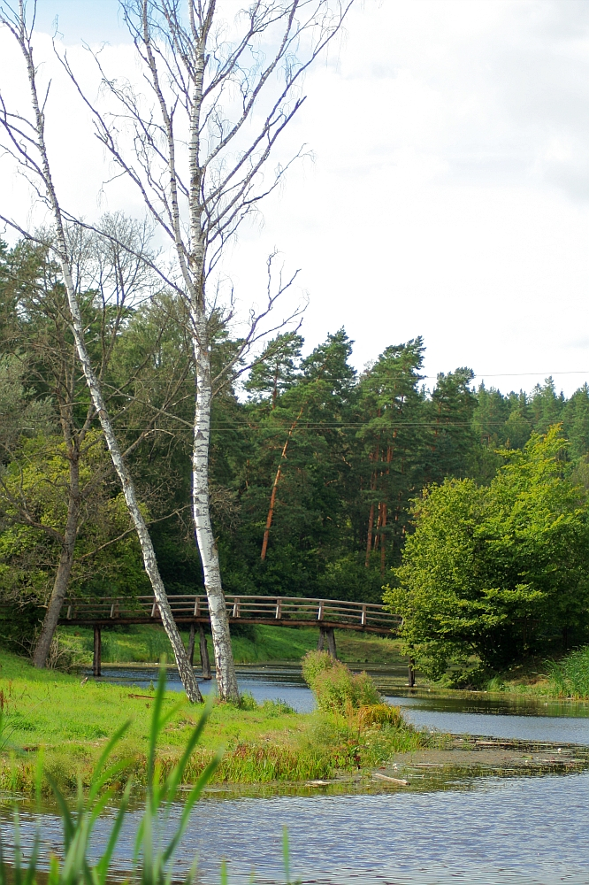 A serene landscape with a quiet river meandering through lush greenery during the Semigallian days. Tall birch trees with white bark stand near the water's edge. A wooden footbridge crosses the river in the midground, while dense forest with evergreen trees forms the background under a cloudy 2008 sky.