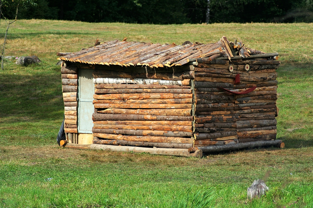 A small handmade log cabin with a makeshift door stands in a grassy clearing, reminiscent of Semigallian days. The cabin features a whimsical face formed from logs and wood pieces, including eyes, a nose, and a curved red mouth. The roof is made of uneven, overlapping logs. Trees and grass surround the 2008-era cabin.