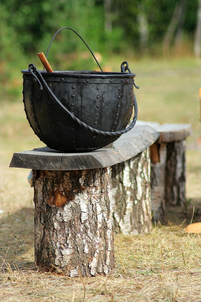 A rustic campfire cooking pot with a handle sits on a rough wooden bench made from a slab and two tree stumps. A wooden spoon is inside the pot. The scene, reminiscent of the 2008 Semigallian Days culture festival, is set in an outdoor forest area with green trees in the background and dry grass on the ground.