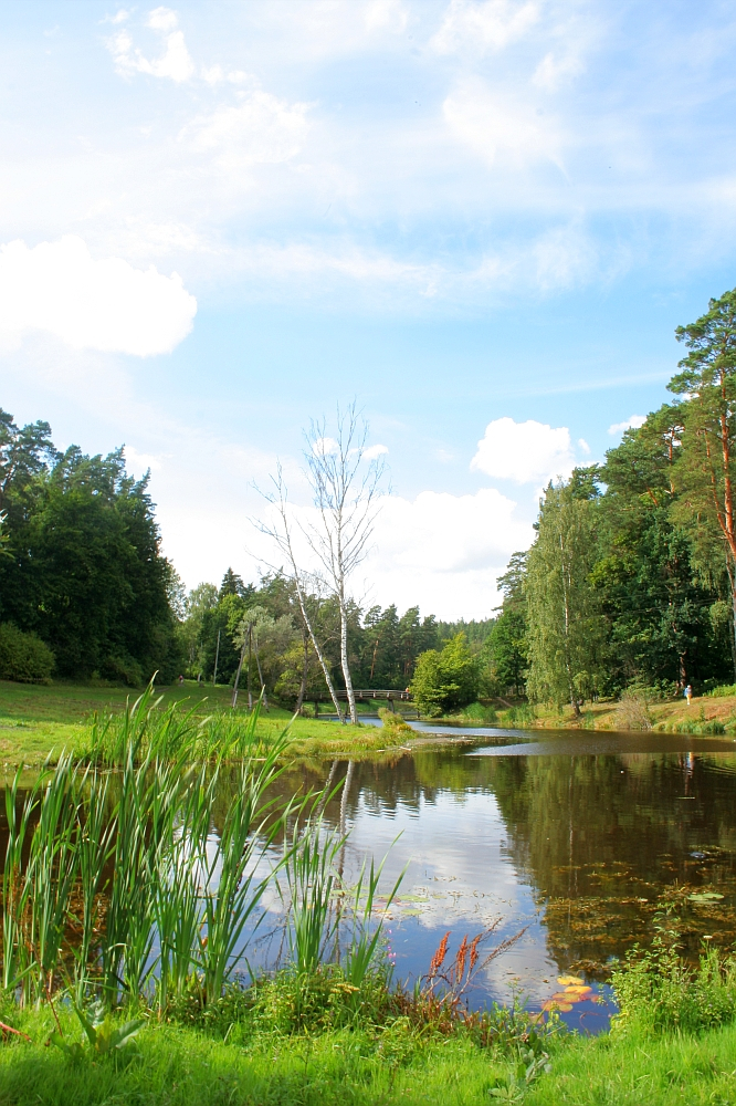 A tranquil park features a clear pond reflecting the surrounding greenery and a blue sky with a few white clouds. Tall grasses and reeds line the pond's edge, and trees, including a striking bare white birch, frame the scene. In the backdrop of this serene setting, you can almost imagine it hosting an event like Semigallian Days 2008.