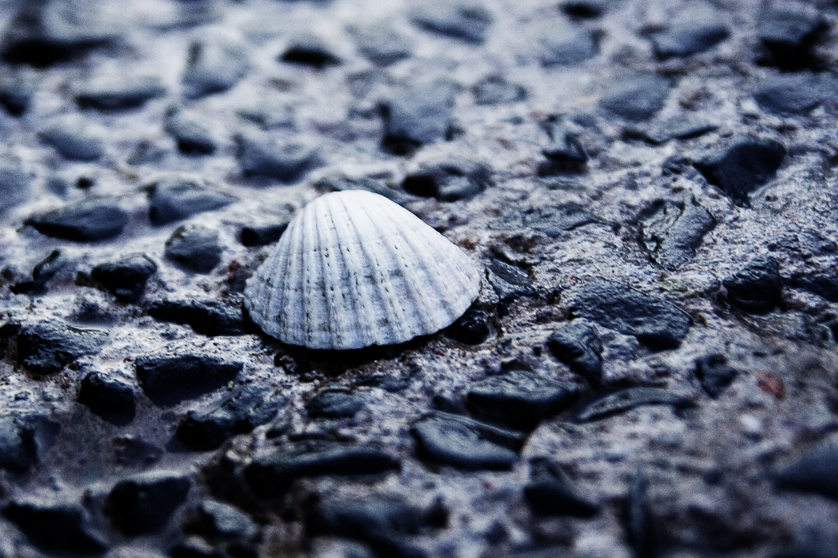 shell-digital-deconstruction